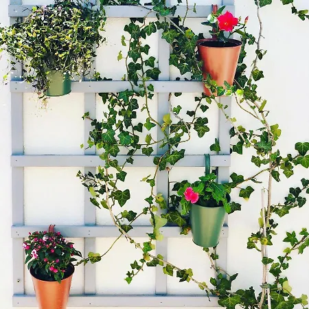 Dream Апартаменты Мостар